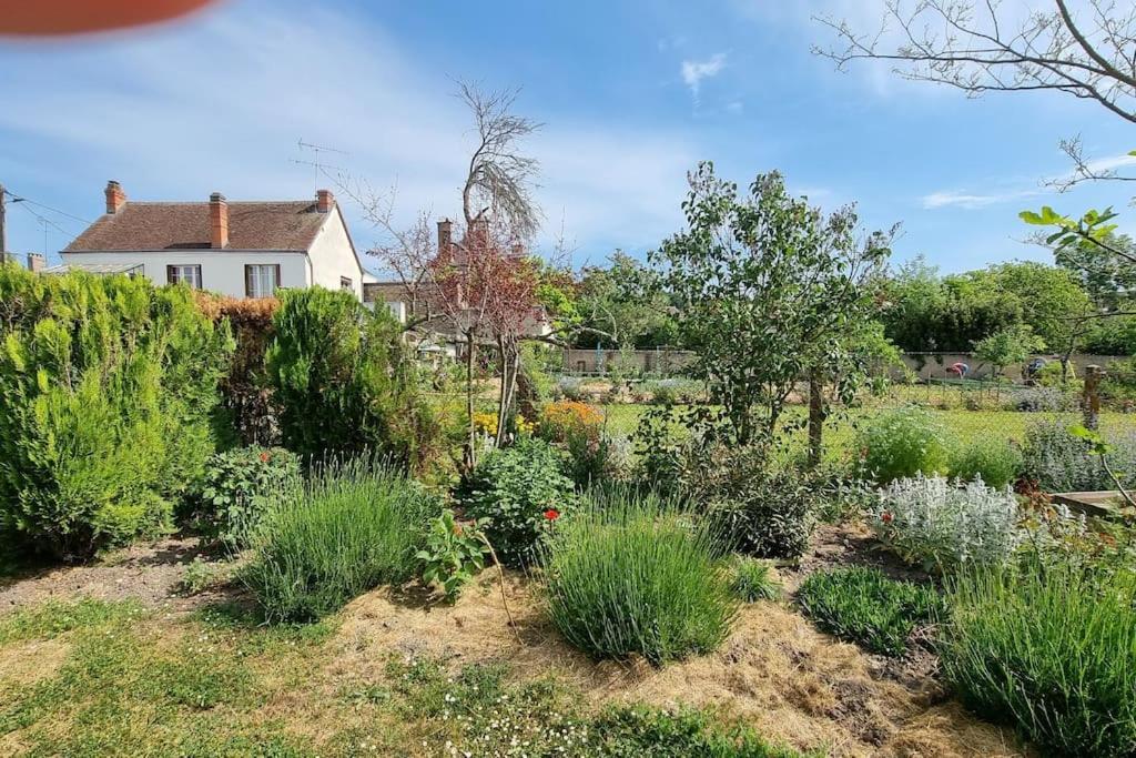 Les Noyers Monestois Entre Cher Et Canal De Berry Mennetou-sur-Cher Ngoại thất bức ảnh